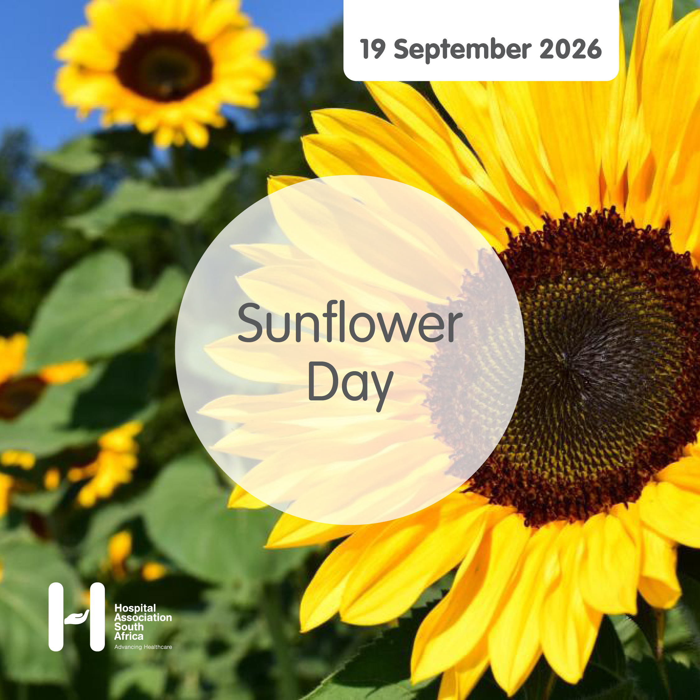 Sunflower Day